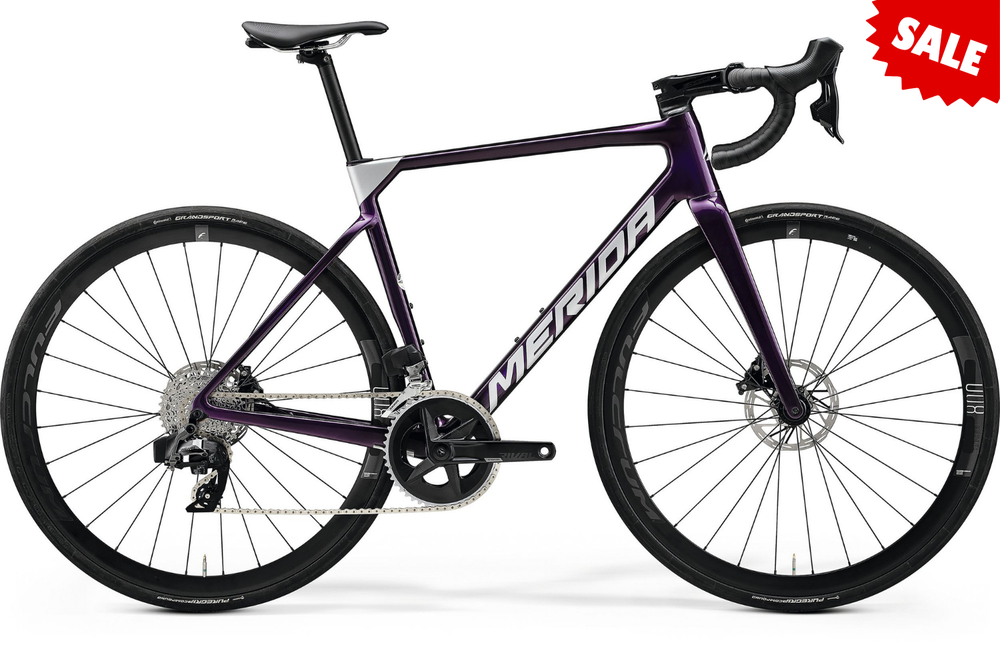 Merida Scultura Rival-Edition - Dark Purple (Silver) | Hup Leong